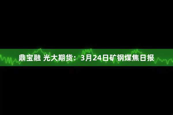 鼎宝融 光大期货：3月24日矿钢煤焦日报
