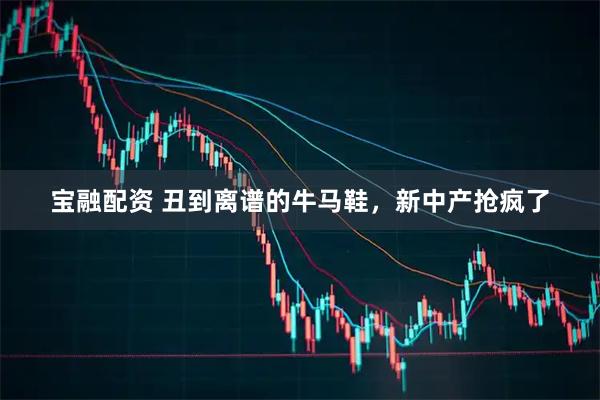 宝融配资 丑到离谱的牛马鞋，新中产抢疯了