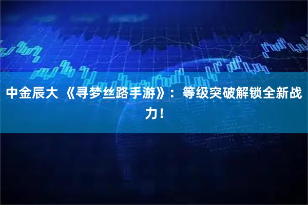 中金辰大 《寻梦丝路手游》：等级突破解锁全新战力！