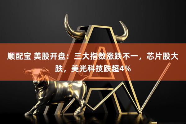 顺配宝 美股开盘：三大指数涨跌不一，芯片股大跌，美光科技跌超4%