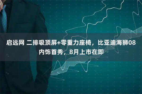 启远网 二排吸顶屏+零重力座椅，比亚迪海狮08内饰首秀，8月上市在即